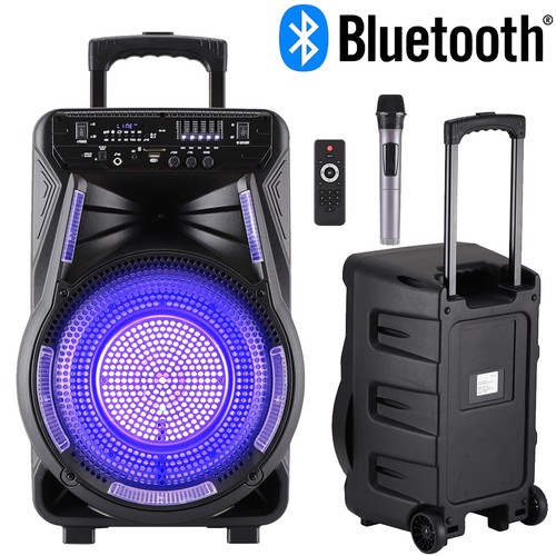 Woofer portatile alta - 12'',